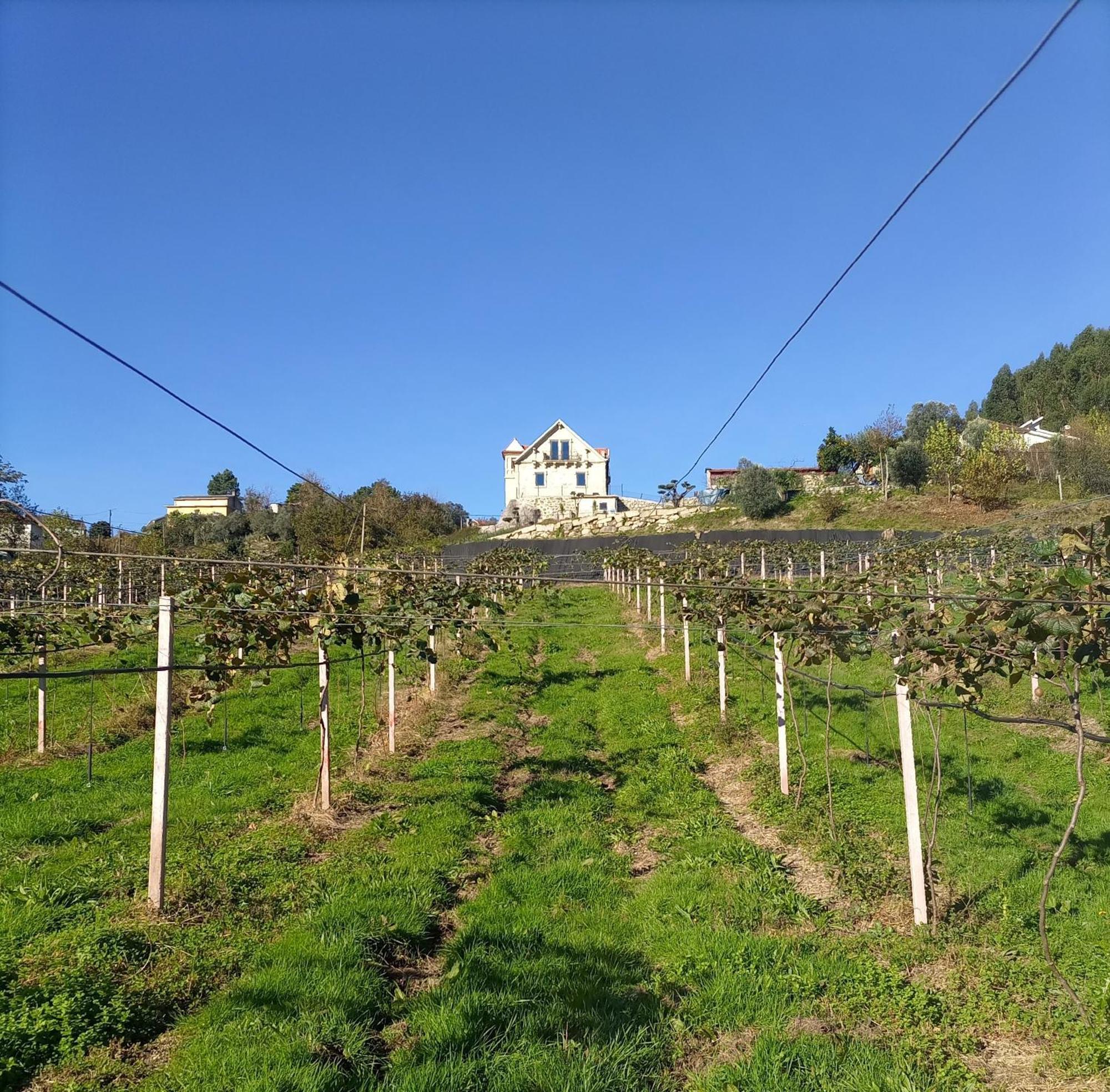 Вілла Quinta Do Bairro Вієйра-ду-Міню Екстер'єр фото